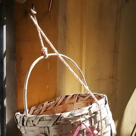 Nocleg ze śniadaniem Domus Vinaria